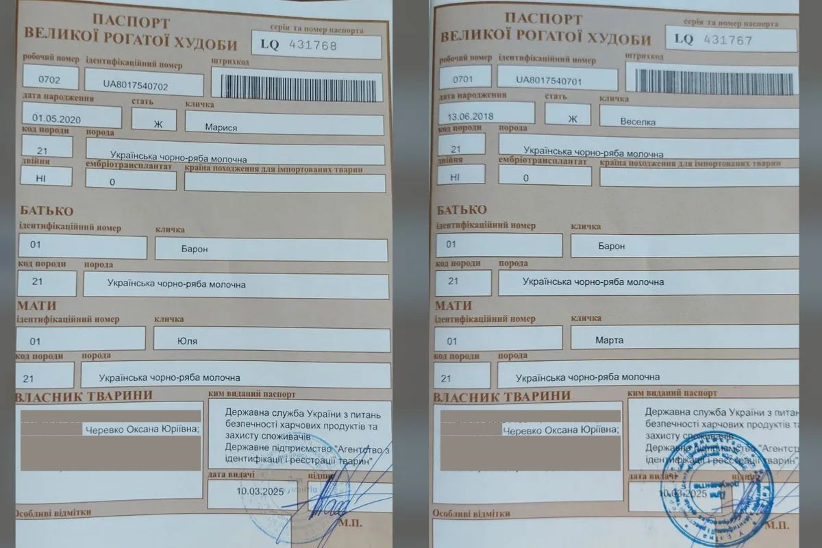 В нашу редакцию обратилась начальница отдела культуры, туризма, молодежи и спорта В нашу редакцию обратилась начальница отдела культуры, туризма, молодежи и спорта