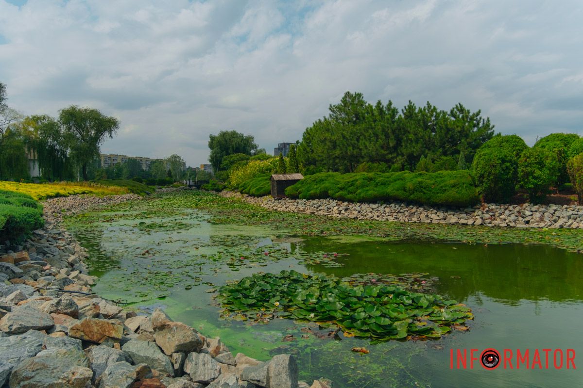 цветению способствует чрезмерное поступление вредных элементов в воду (азота, фосфора, калия) цветению способствует чрезмерное поступление вредных элементов в воду (азота, фосфора, калия)