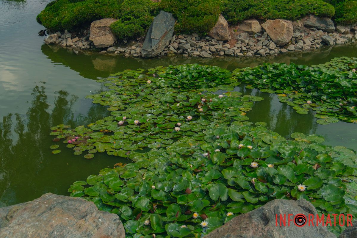 Хорошо, что камера не передает запах Хорошо, что камера не передает запах