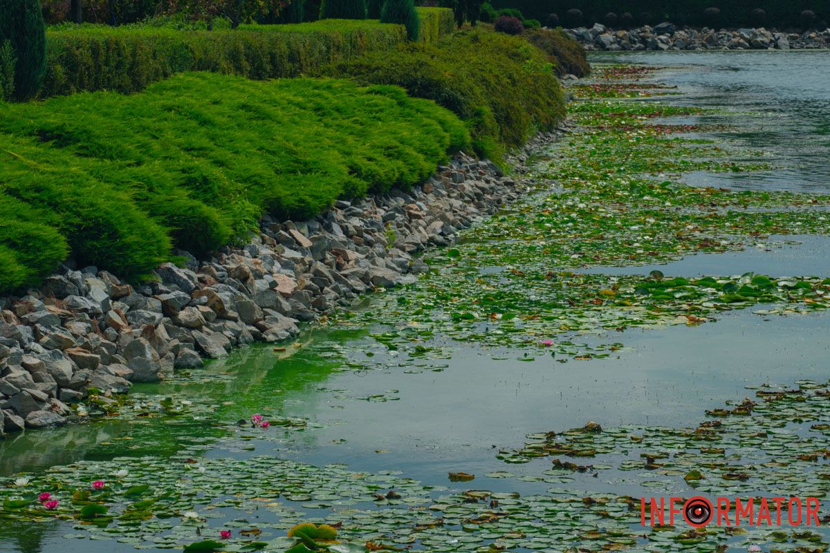 Вода непрозрачная Вода непрозрачная