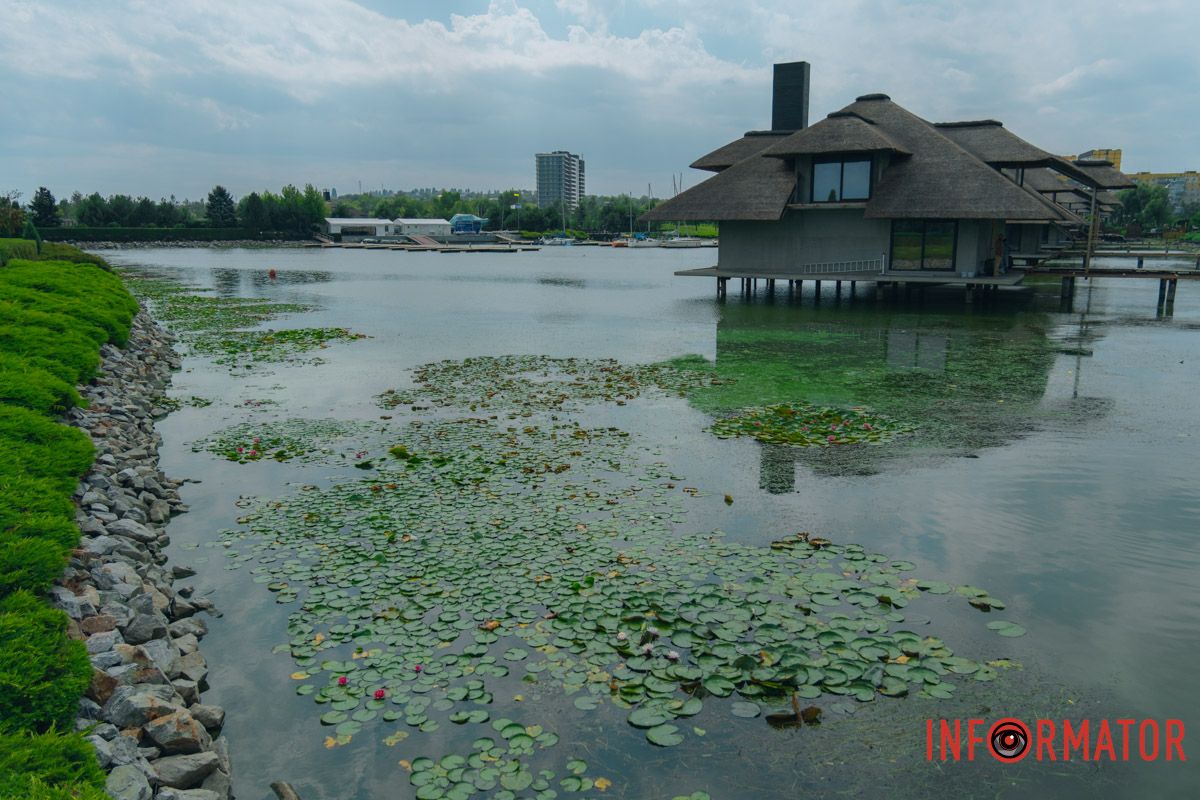Мутная вода Мутная вода