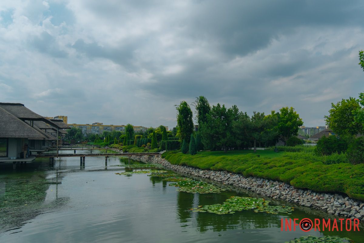 Зелень укрыла поверхность Зелень укрыла поверхность