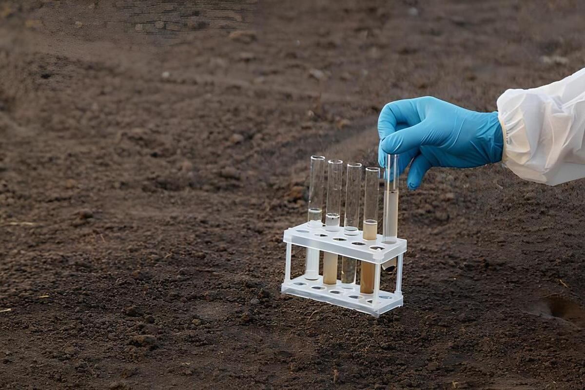 Зазвичай відбирають 10–15 зразків з ділянки до 5 га, змішуючи їх в одну середню пробу Зазвичай відбирають 10–15 зразків з ділянки до 5 га, змішуючи їх в одну середню пробу