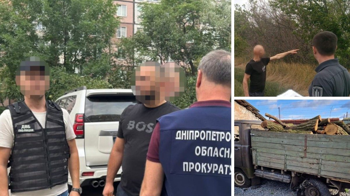 Понад 1,4 мільйона збитків: у Синельниківському районі незаконно вирубали дерева