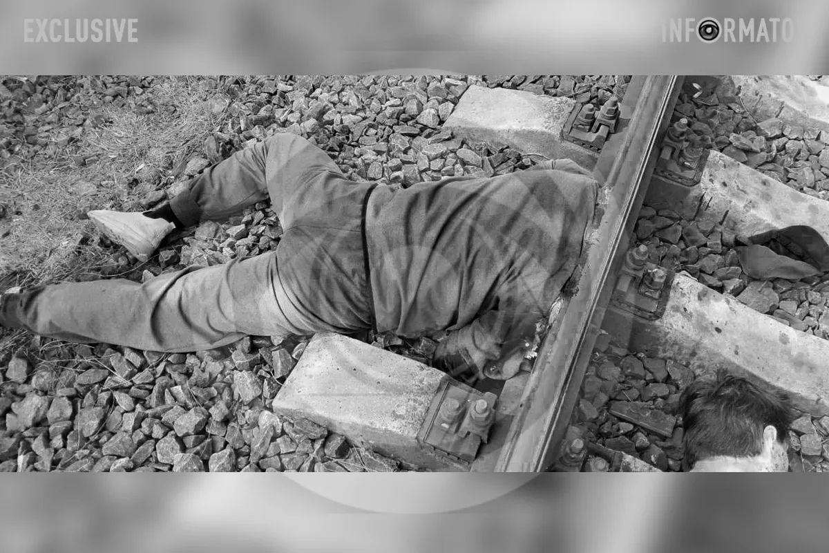 Тело мужчины обнаружили вблизи улицы Пехоты Короля