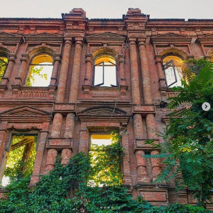 oleandrphoto oleandrphoto