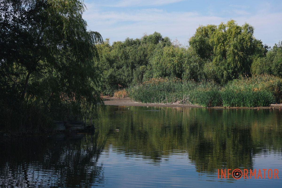 Фото: Андрей Шушпан Фото: Андрей Шушпан