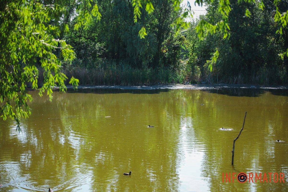 Мы заметили, что на некоторых участках вода действительно отошла от берегов на несколько метров. Мы заметили, что на некоторых участках вода действительно отошла от берегов на несколько метров.