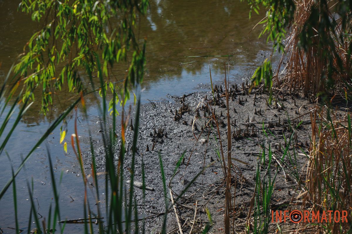 Однако, если проехать вглубь – там вода значительно отошла от берегов Однако, если проехать вглубь – там вода значительно отошла от берегов