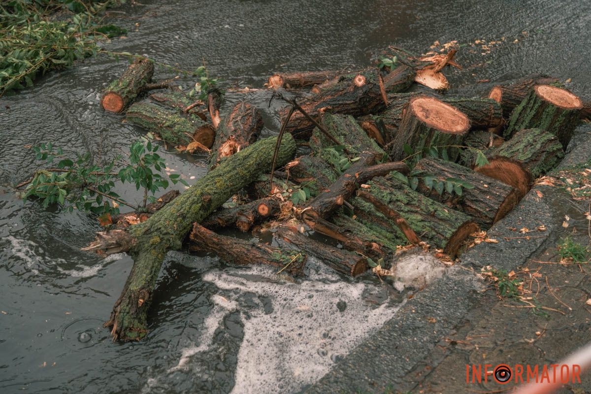 Деревина на асфальті Деревина на асфальті