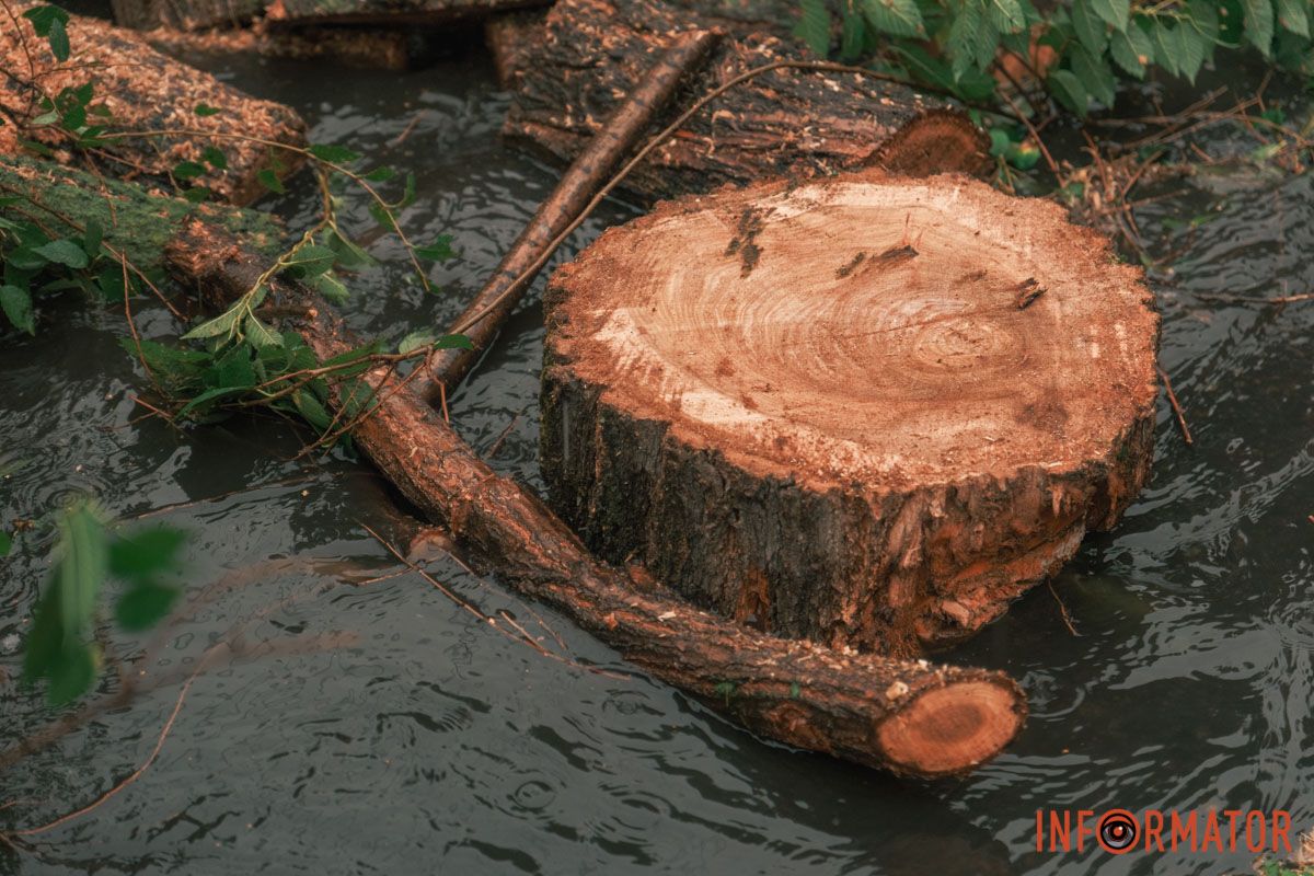 Фото: Денис Чубченко Фото: Денис Чубченко