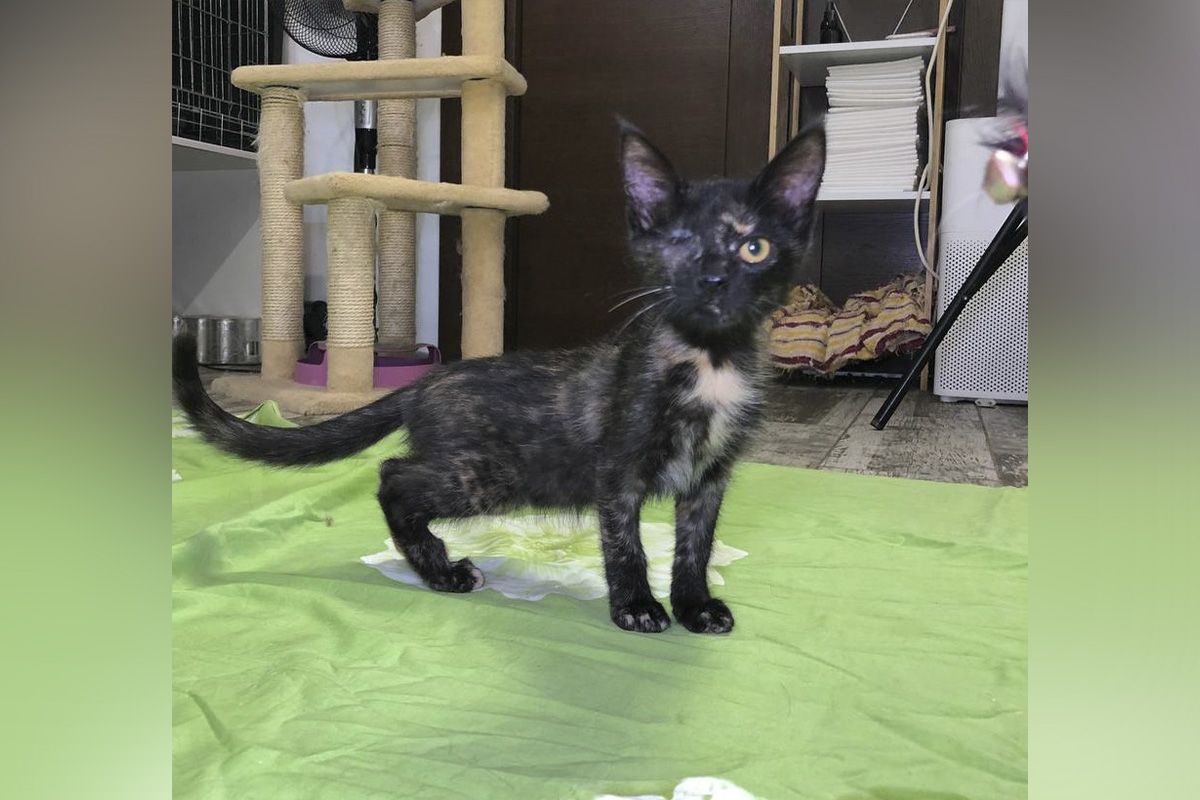 Марочка-Марик