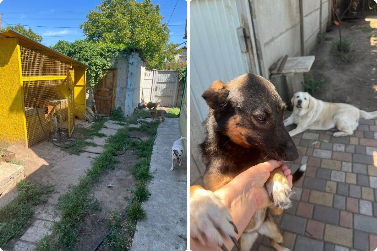 Убежище «Лучик надежды на будущее»