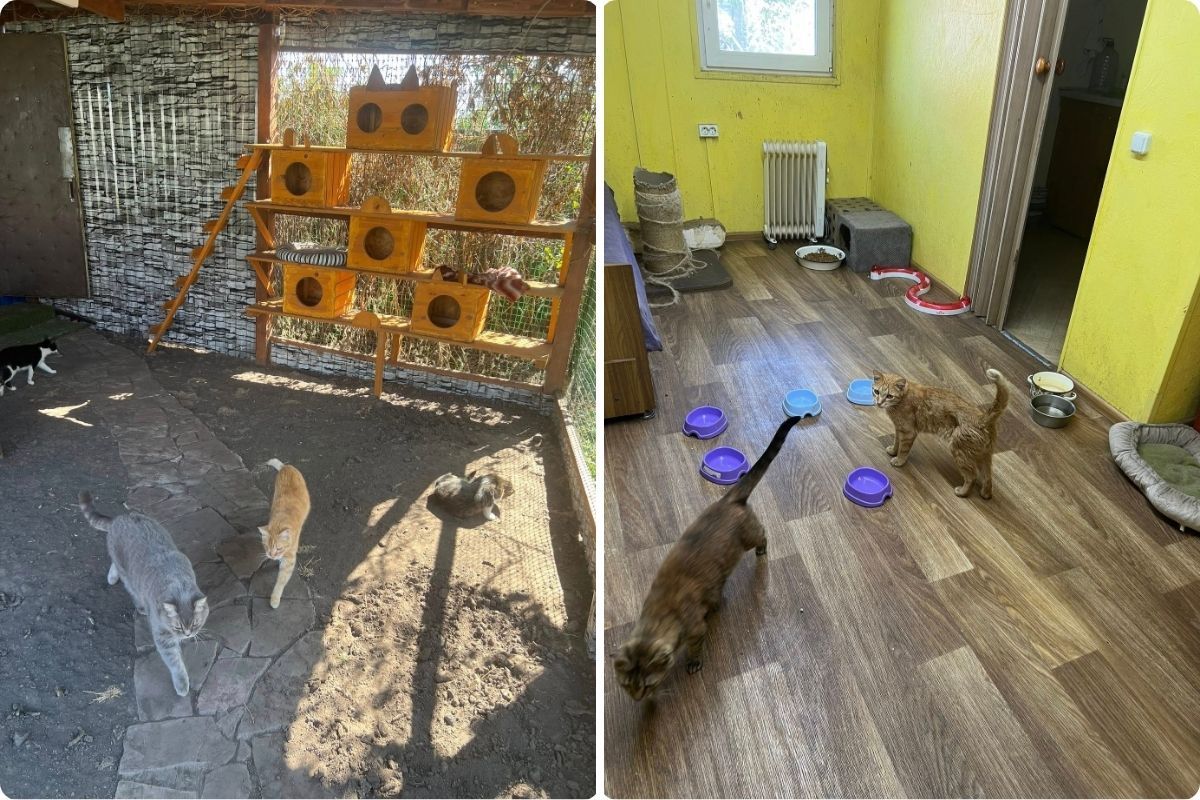 В общей сложности - 90 хвостиков