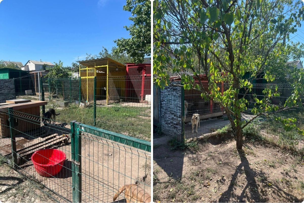 С надеждой на заботу в новых семьях