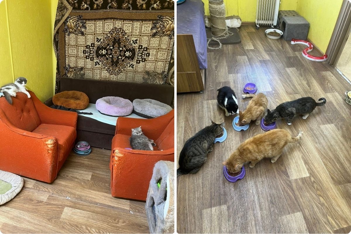 Возможно, один из них ждет именно вас