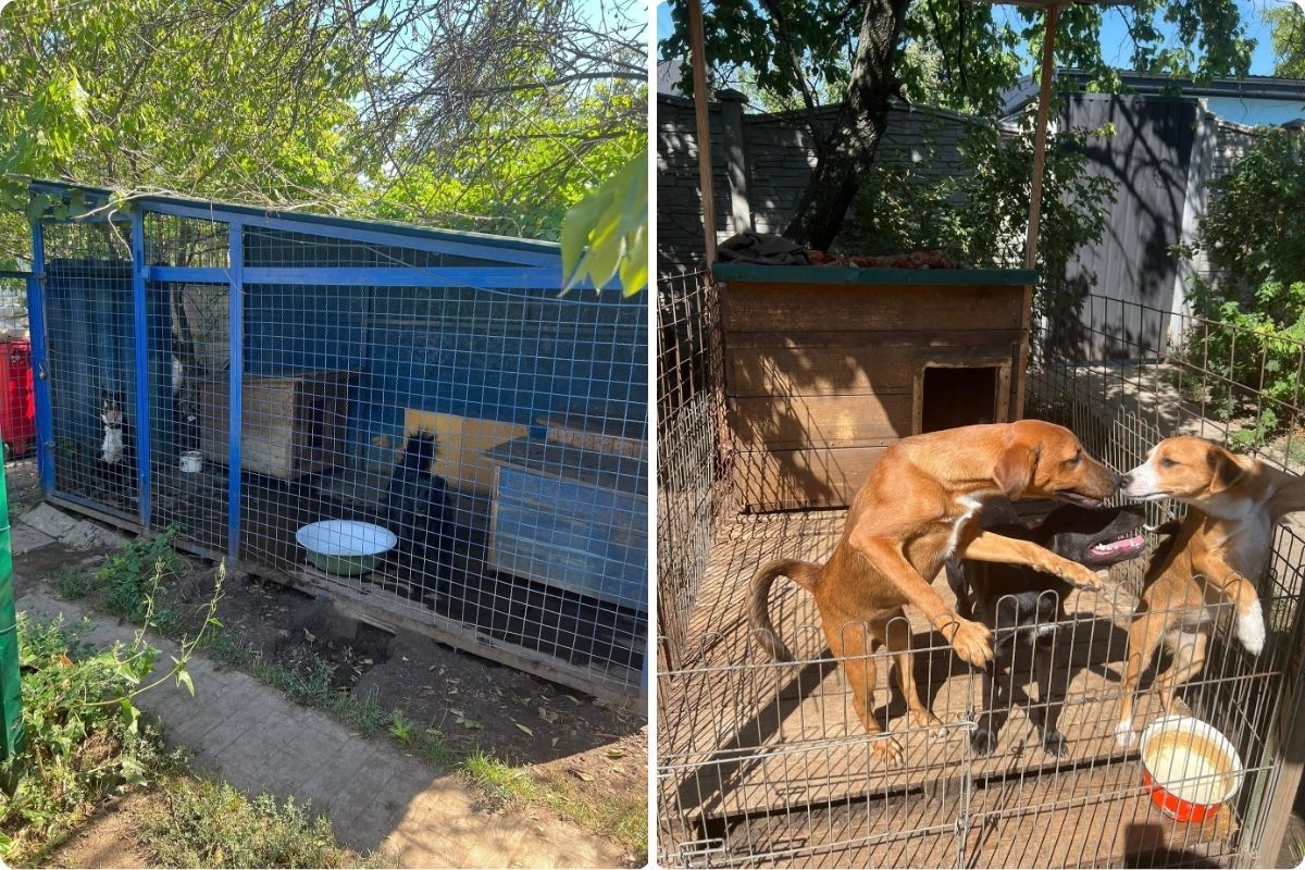 Только взгляните на это