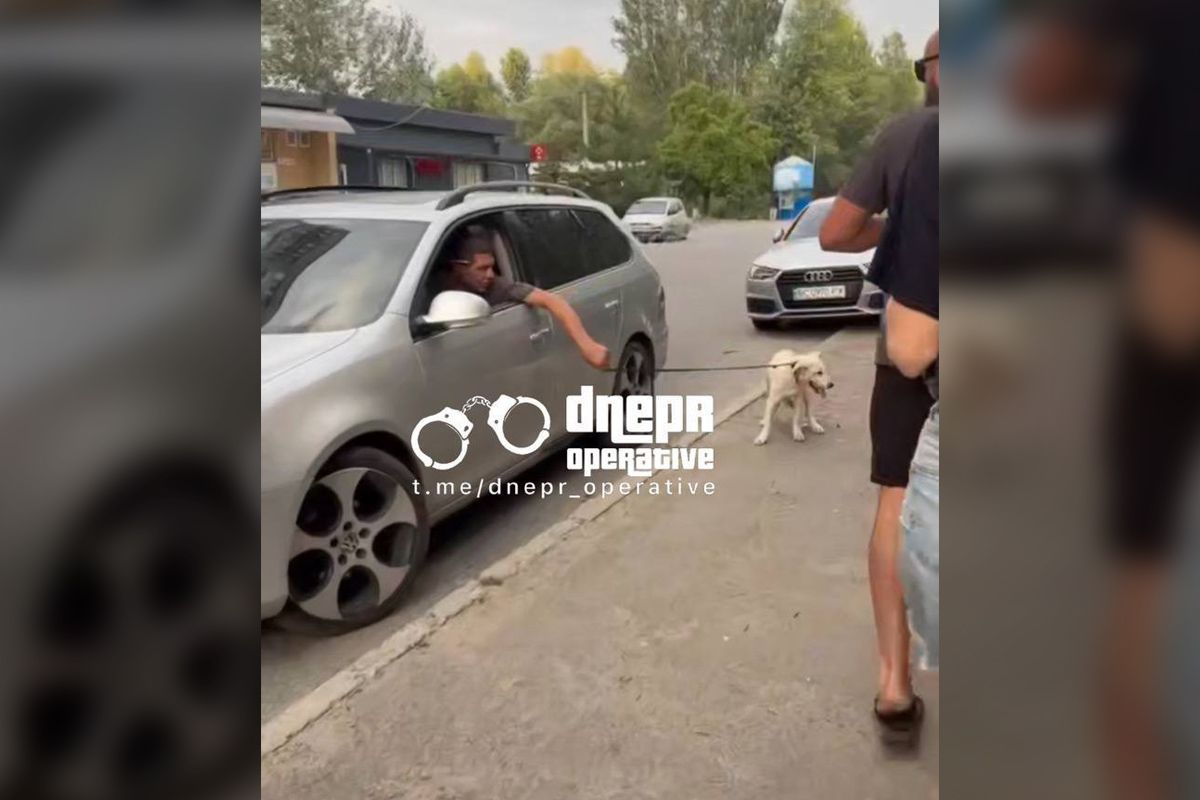 У мережі розмістили відео того, як у Новокодацькому районі Дніпра чоловік під час руху машини тягнув собаку за ремінь з вікна У мережі розмістили відео того, як у Новокодацькому районі Дніпра чоловік під час руху машини тягнув собаку за ремінь з вікна