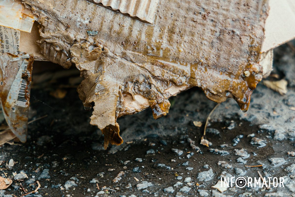 Сезон кавунів знову відкрито: у Дніпрі на Івана Акінфієва смердять переповнені сміттєві баки 4