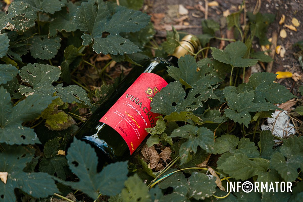 Сезон кавунів знову відкрито: у Дніпрі на Івана Акінфієва смердять переповнені сміттєві баки 11