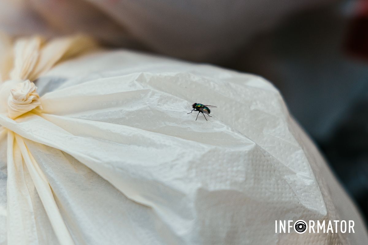 Сезон кавунів знову відкрито: у Дніпрі на Івана Акінфієва смердять переповнені сміттєві баки 17