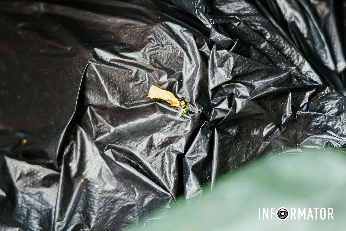 Сезон кавунів знову відкрито: у Дніпрі на Івана Акінфієва смердять переповнені сміттєві баки 9