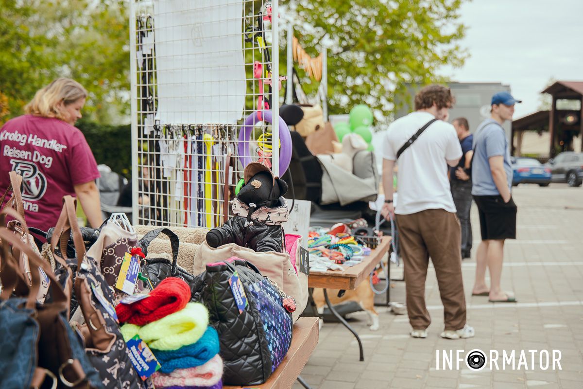 Фотозоны, вкусности и много развлечений для четырехлапых: в Днепре проходит фестиваль для собак 8