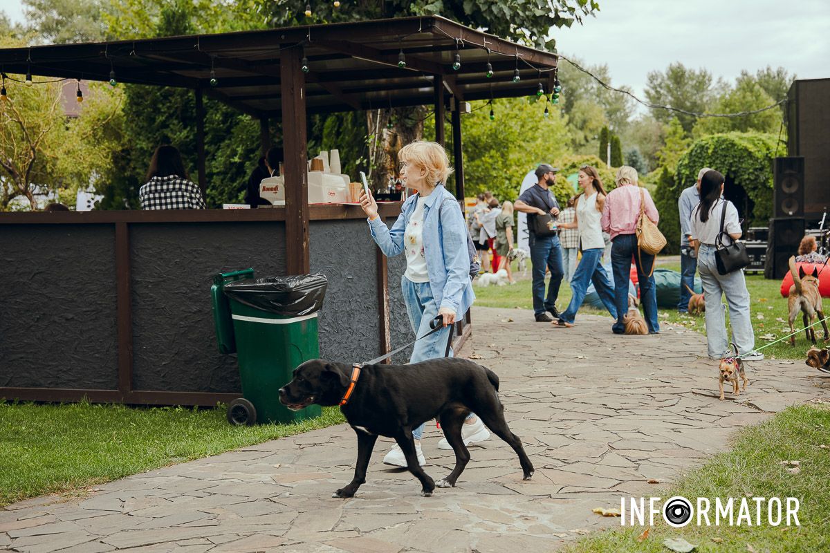 Фотозоны, вкусности и много развлечений для четырехлапых: в Днепре проходит фестиваль для собак 4