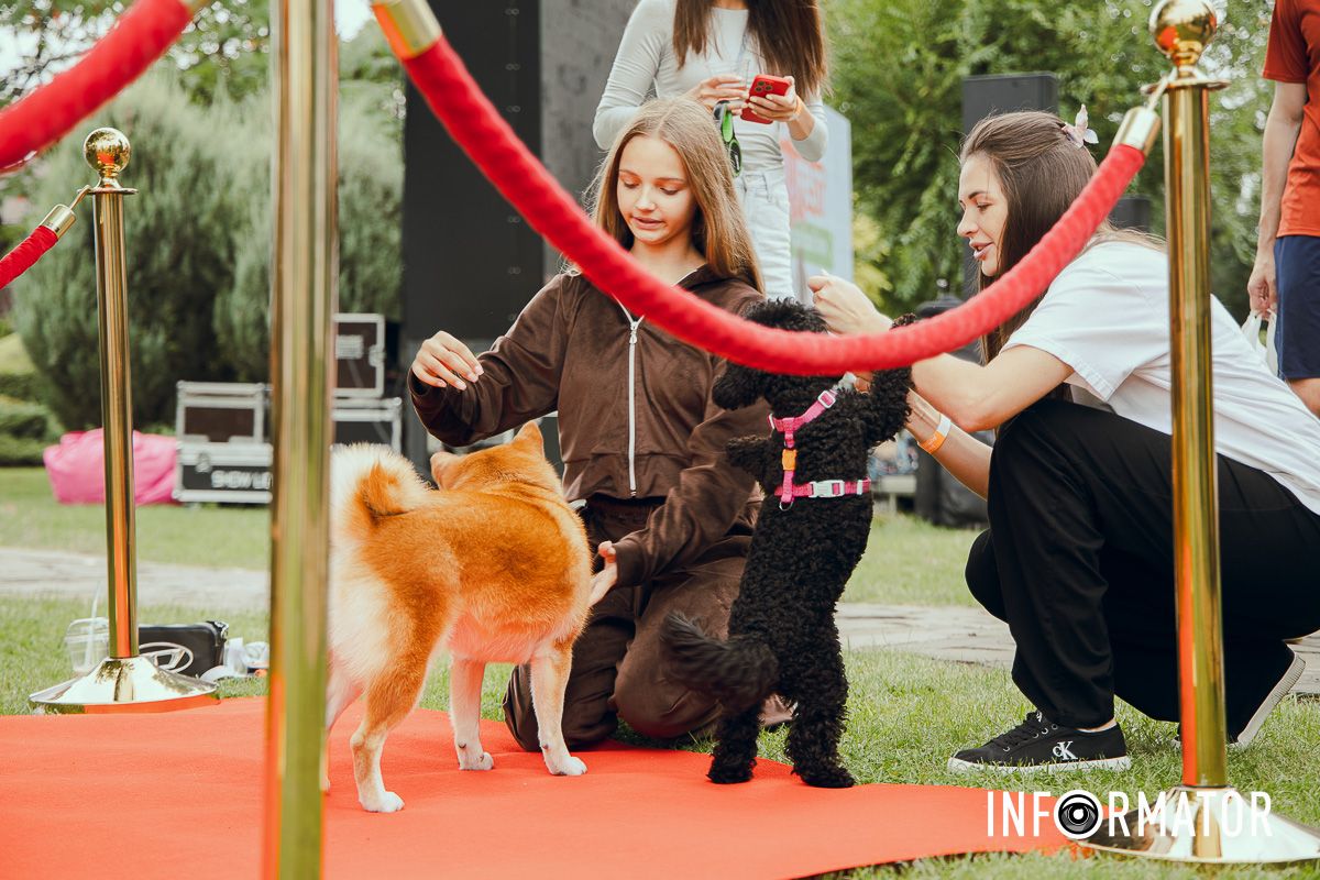 Фотозоны, вкусности и много развлечений для четырехлапых: в Днепре проходит фестиваль для собак 6