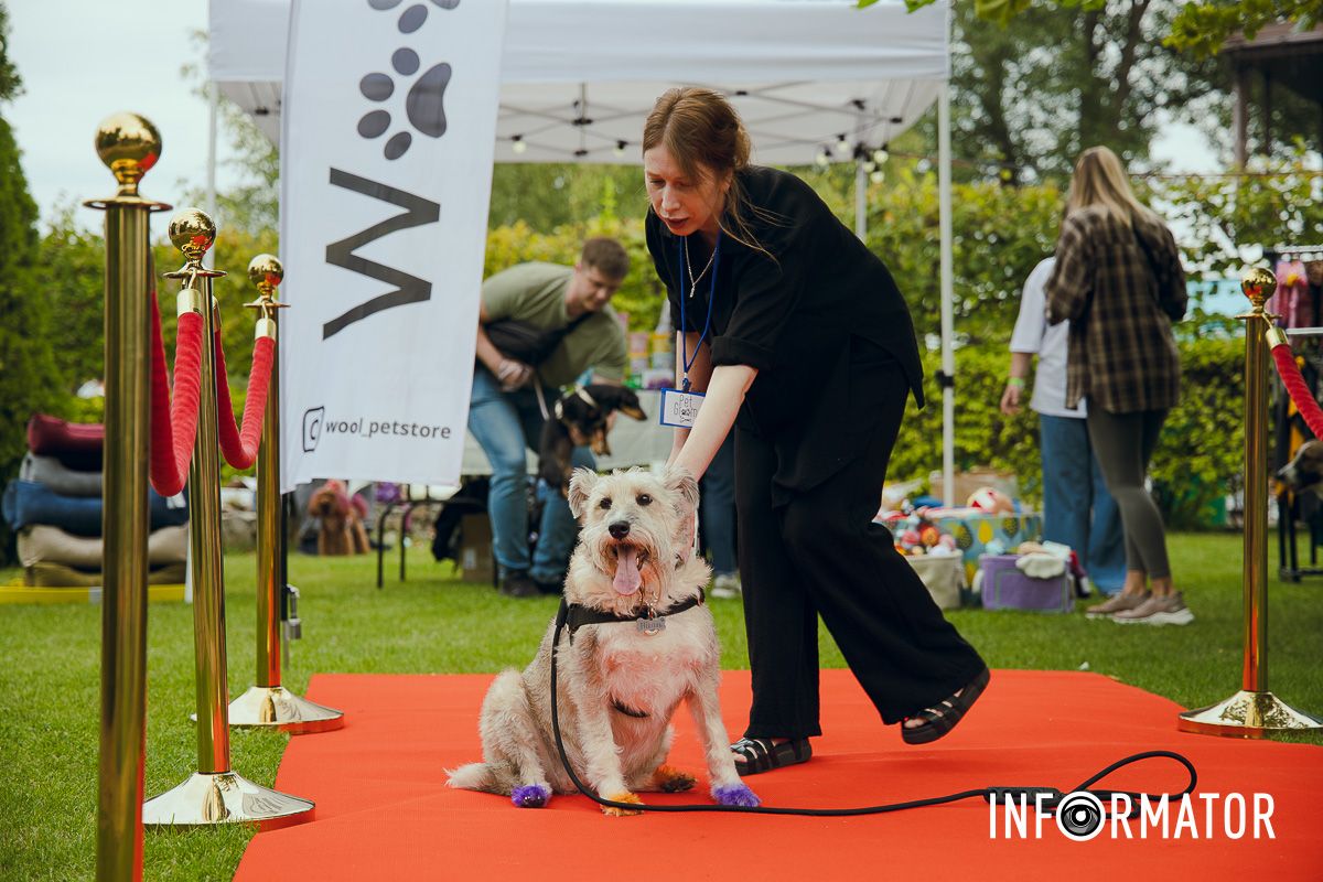 Фотозоны, вкусности и много развлечений для четырехлапых: в Днепре проходит фестиваль для собак 12