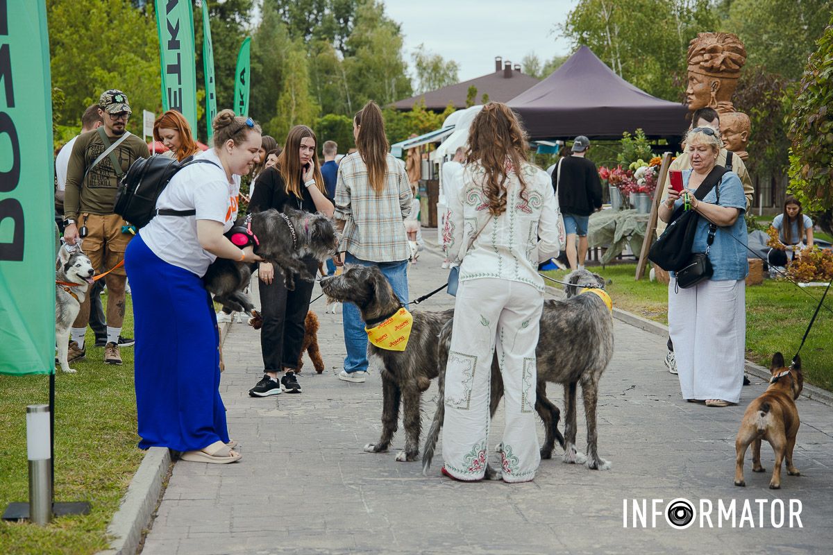Фотозоны, вкусности и много развлечений для четырехлапых: в Днепре проходит фестиваль для собак 23