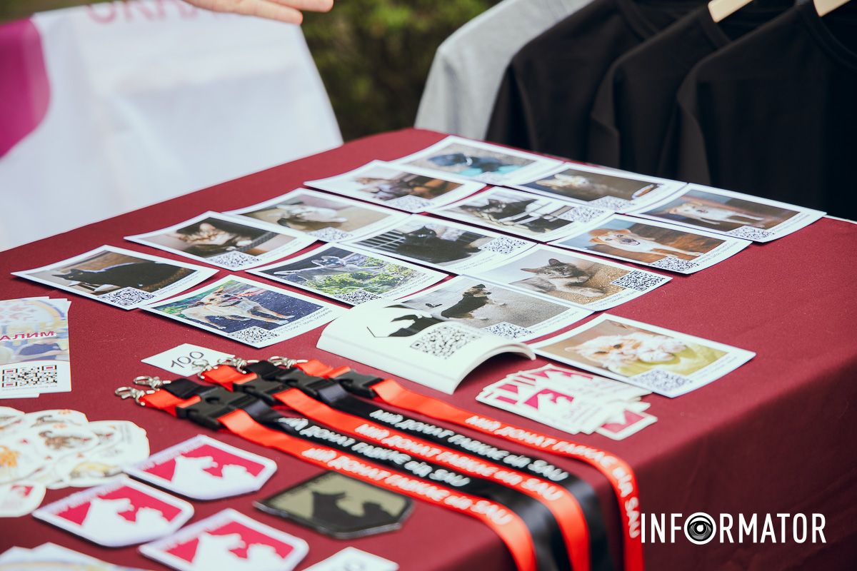 Фотозоны, вкусности и много развлечений для четырехлапых: в Днепре проходит фестиваль для собак 27