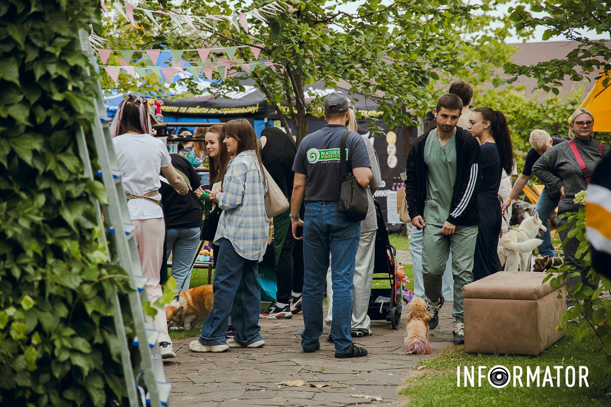 Фотозоны, вкусности и много развлечений для четырехлапых: в Днепре проходит фестиваль для собак 28