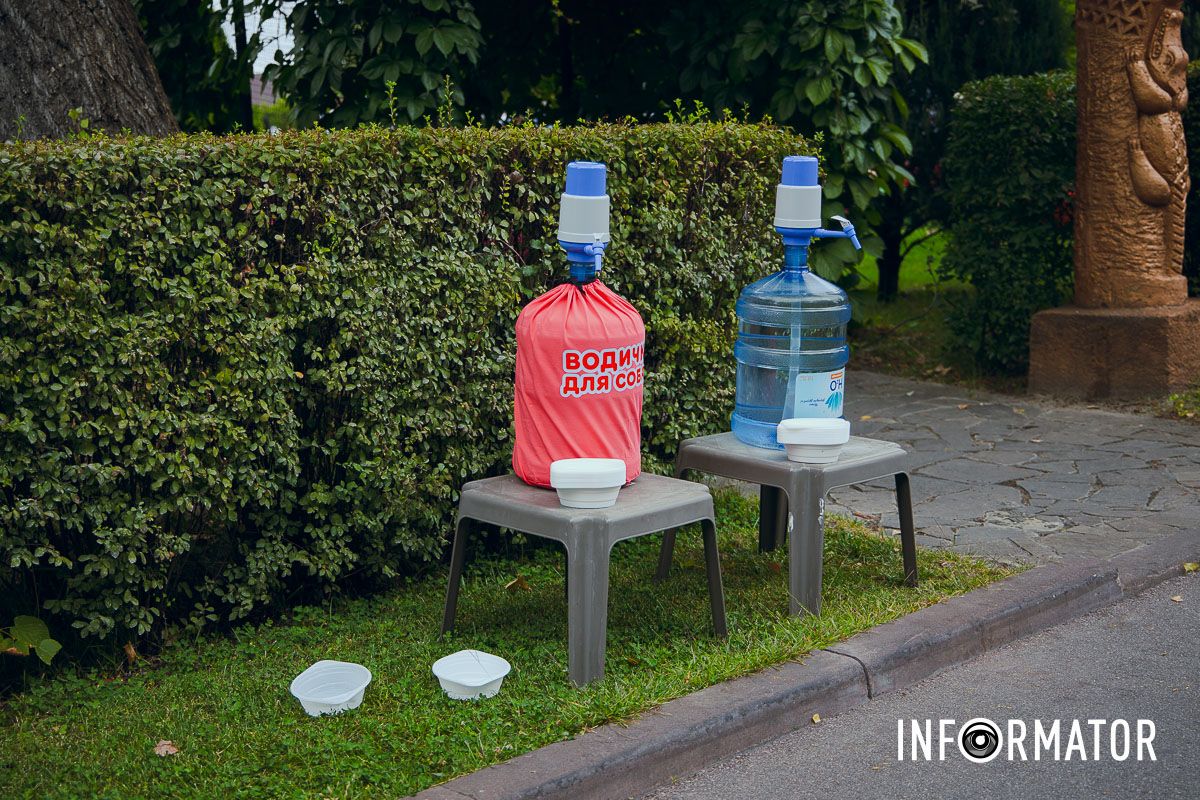 Фотозоны, вкусности и много развлечений для четырехлапых: в Днепре проходит фестиваль для собак 33