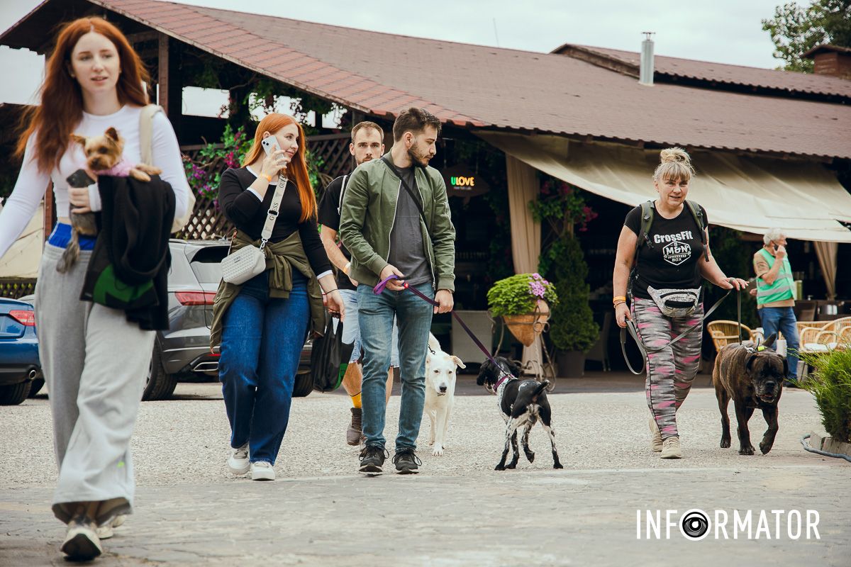 Фотозоны, вкусности и много развлечений для четырехлапых: в Днепре проходит фестиваль для собак 35