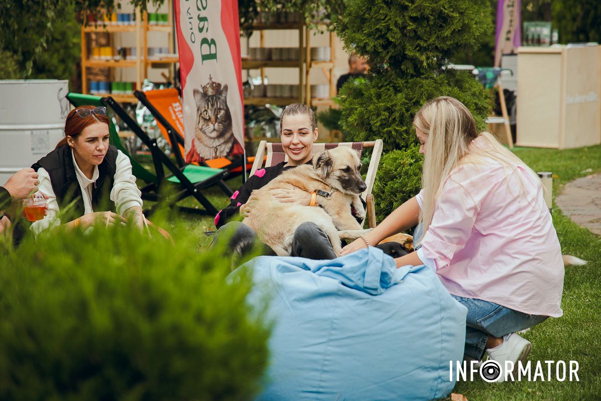 Фотозоны, вкусности и много развлечений для четырехлапых: в Днепре проходит фестиваль для собак 39