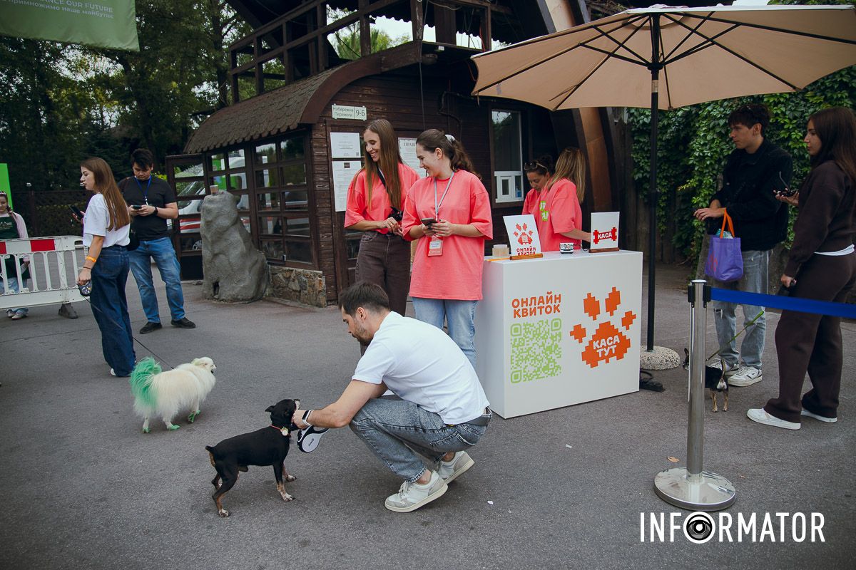 Фотозоны, вкусности и много развлечений для четырехлапых: в Днепре проходит фестиваль для собак 51