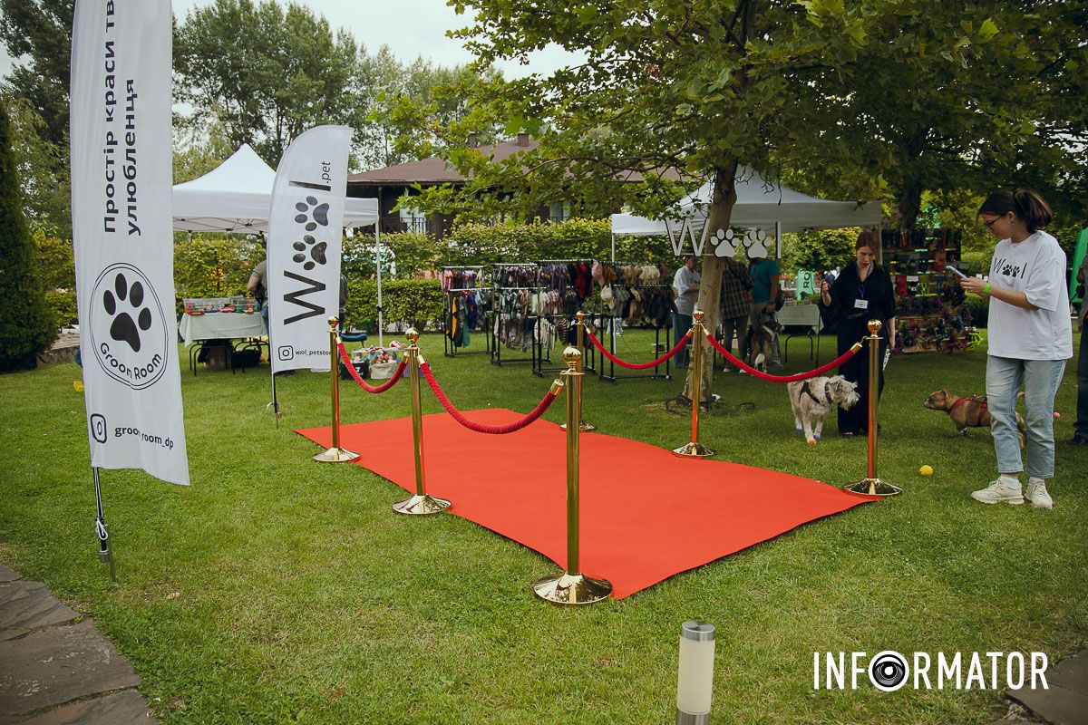 Фотозоны, вкусности и много развлечений для четырехлапых: в Днепре проходит фестиваль для собак 49