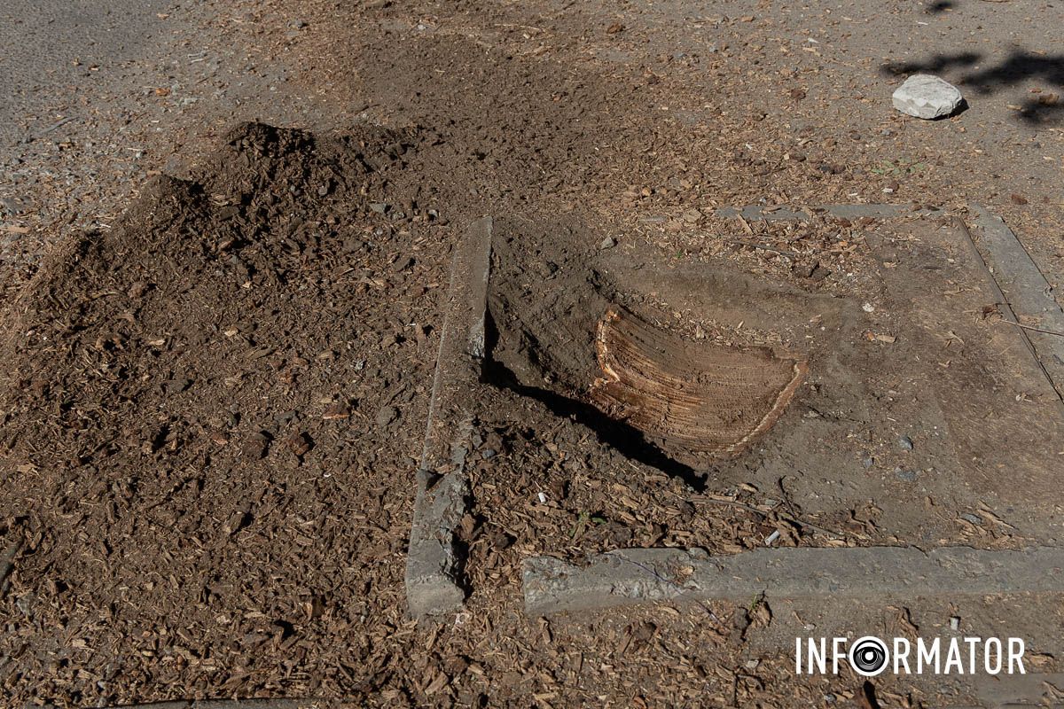 У Дніпрі почали реконструкцію вулиці Інженерної На вулиці Інженерній у Дніпрі видаляють пні за 1,8 мільйона гривень: як це виглядає 8