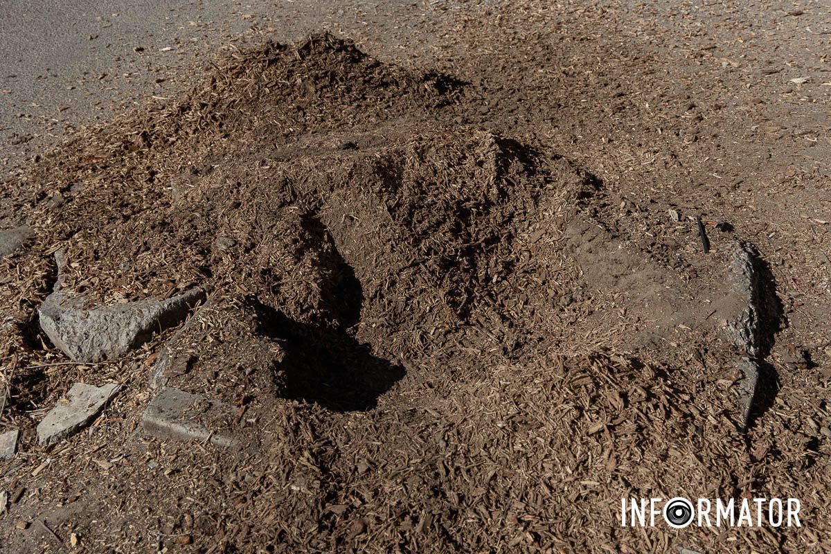 На Інженерній у Дніпрі вже працює техніка На вулиці Інженерній у Дніпрі видаляють пні за 1,8 мільйона гривень: як це виглядає 11