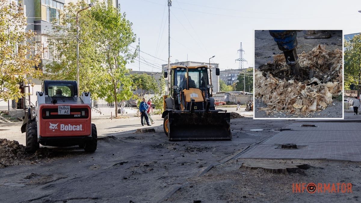 На вулиці Інженерній у Дніпрі видаляють пні за понад 1,8 мільйона гривень: як це виглядає