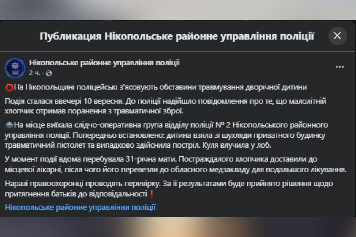 Коментар поліції У Дніпропетровській області 2-річний хлопчик поранив себе у голову пострілом з пневматичної зброї: що загрожує батькам 2