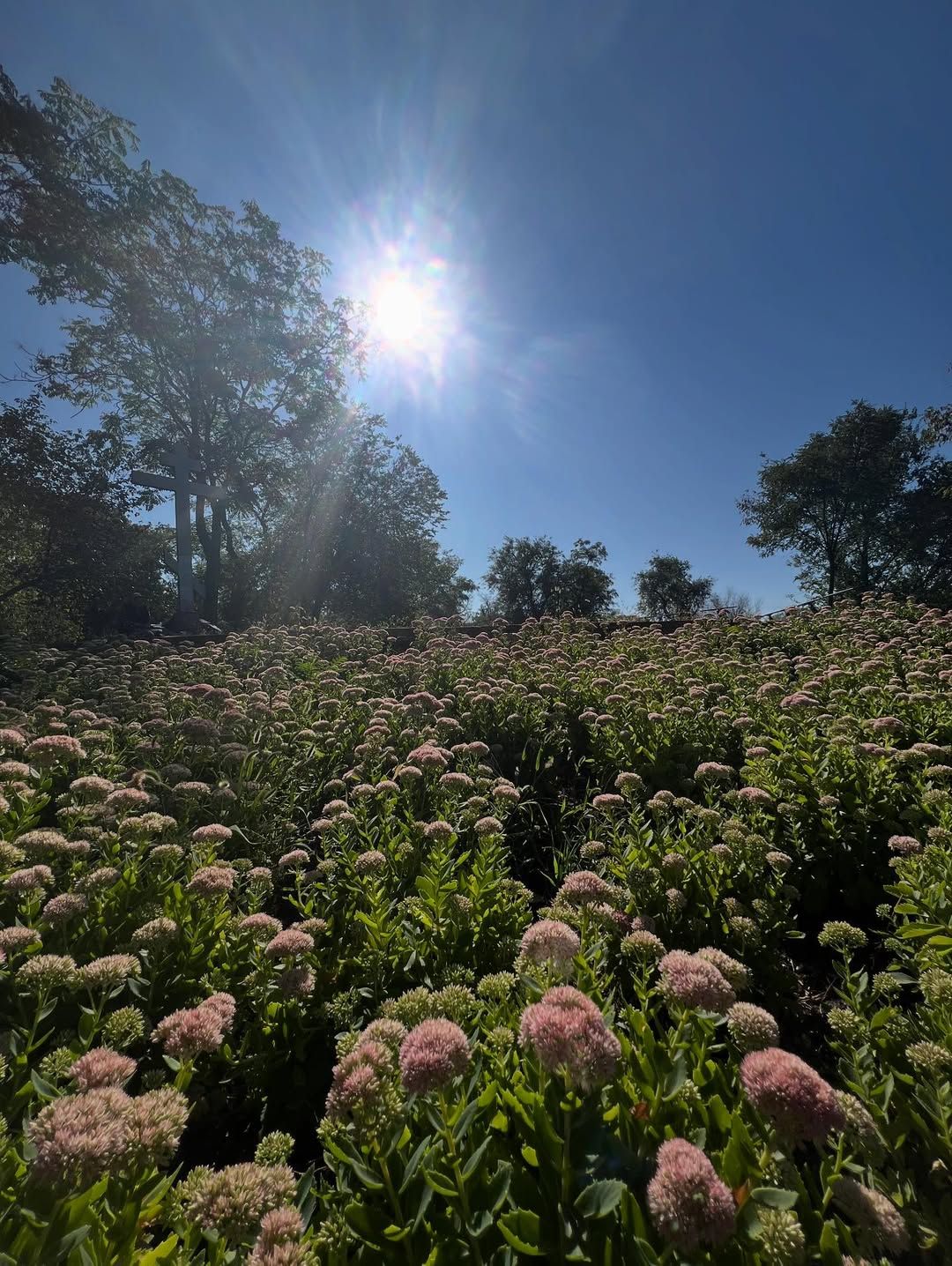 Фото: @iryna_bog