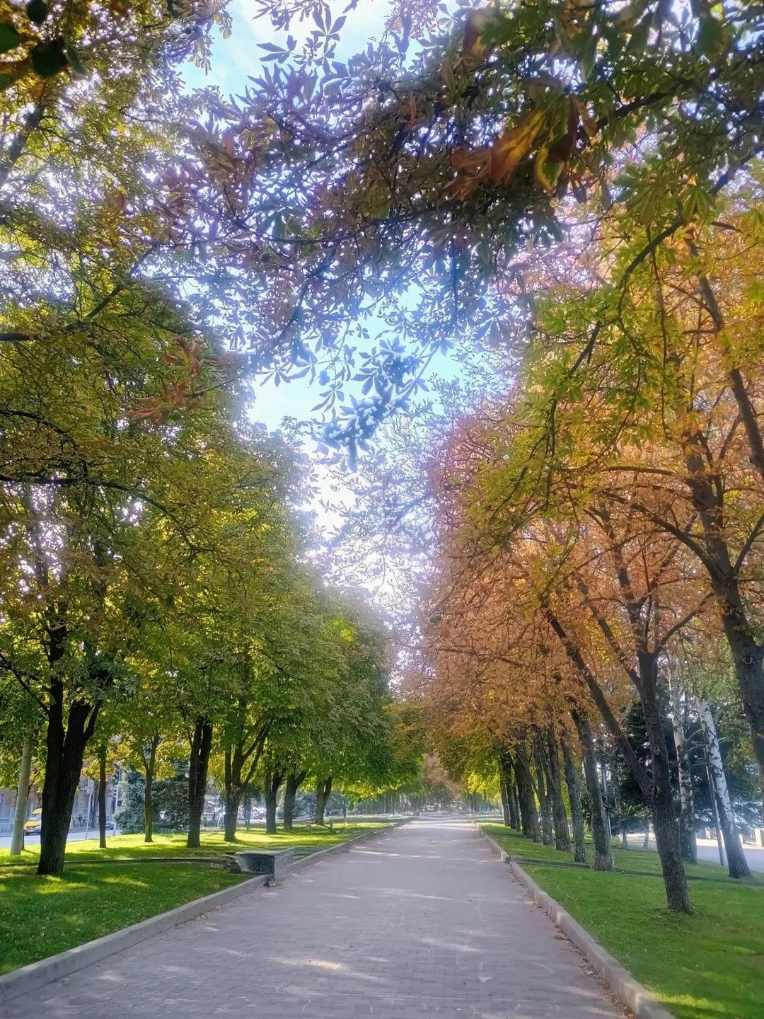 Фото: @olhadizhevska