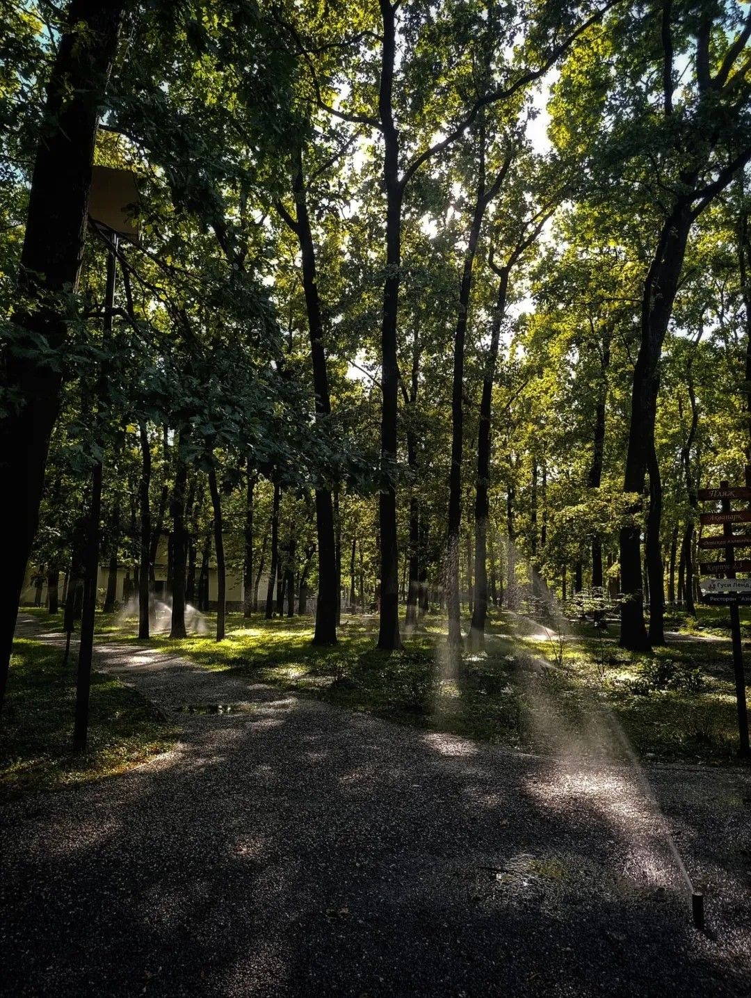 Фото: @estmysoul