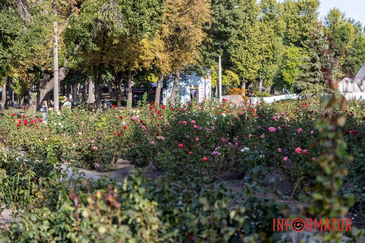 Фото - Дмитрий Дворский