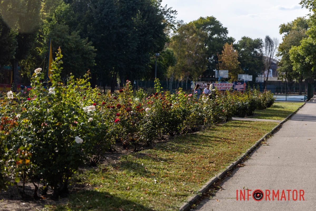 Днепр пахнет розами