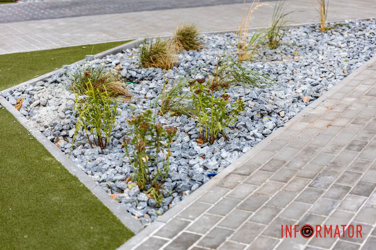 Озеленення