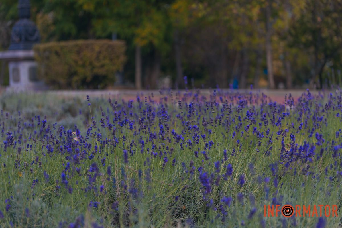 Фото: Денис Чубченко