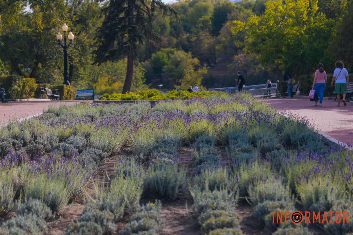 Привертає увагу